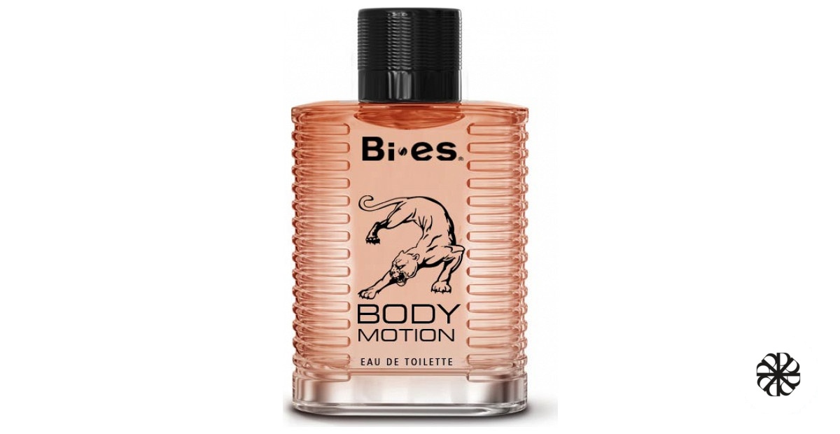 Body Motion Bi-es