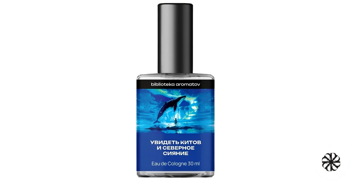 Watching whales and the northern lights (Увидеть китов и северное сияние) biblioteka aromatov