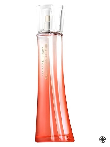 Agua de Bambu Exotic for Her Adolfo Dominguez