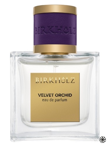 Velvet Orchid Birkholz