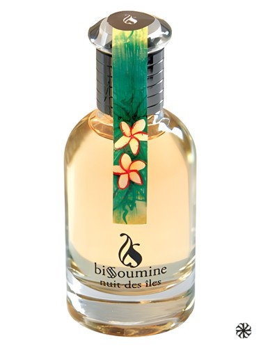 Nuit des Iles Bissoumine