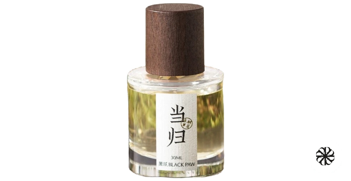 Angelica 当归 Black Paw