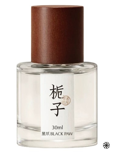 Gardenia 栀子 Black Paw