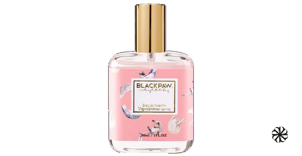 Little Milk Cat Black Paw