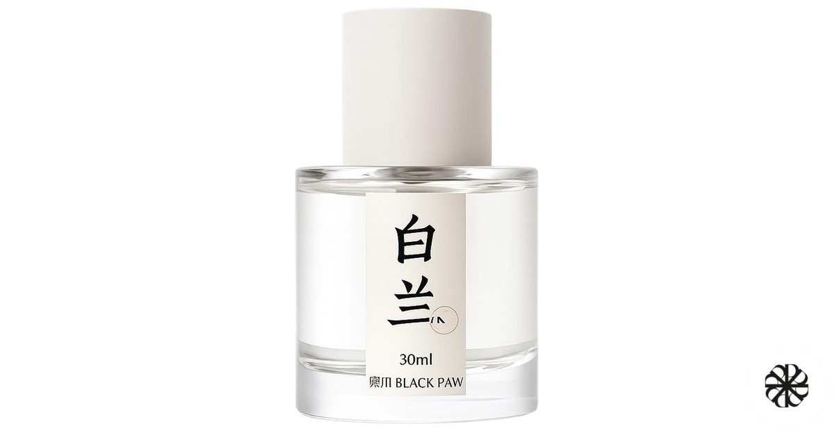 白兰 / Magnolia Black Paw