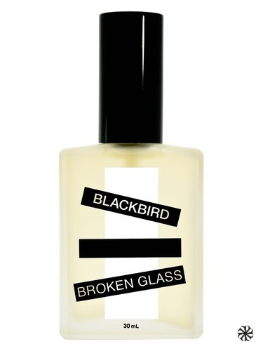 Broken Glass Blackbird
