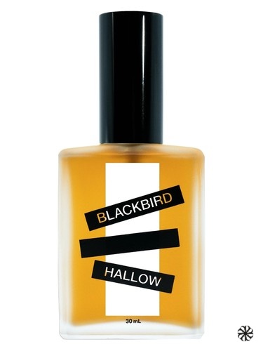 Hallow V.2 Blackbird
