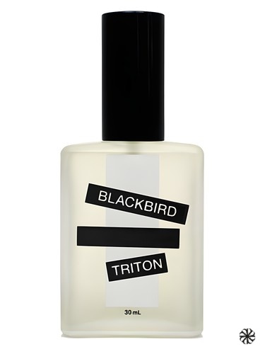 Triton Blackbird