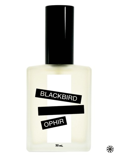 Ophir Blackbird