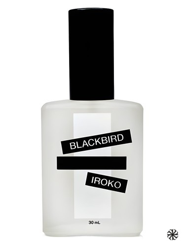 Iroko Blackbird