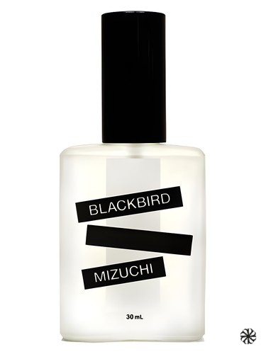 Mizuchi Blackbird