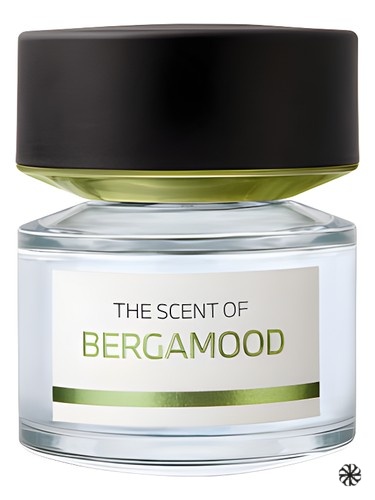 Bergamood BMW Fragrances