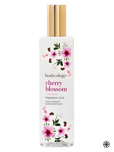 Cherry Blossom Bodycology