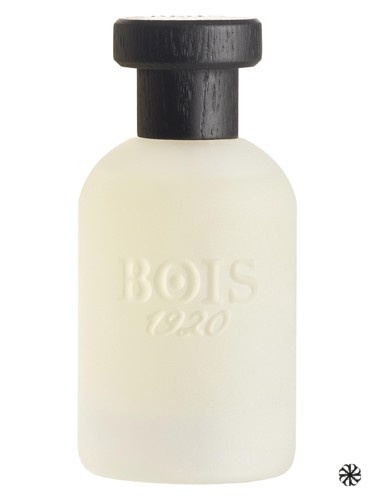 Musk 1920 Bois 1920