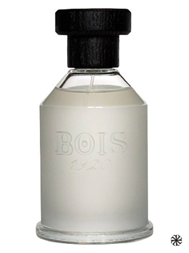 Sopra Il Mare Bois 1920