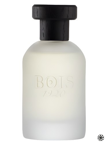 Classic 1920 Bois 1920