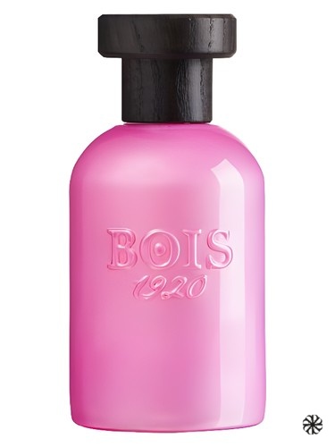 Rosa di Filare Bois 1920