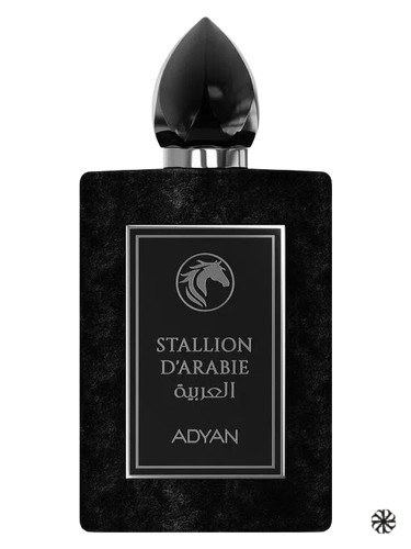 Stallion D'Arabie Adyan by Anfar