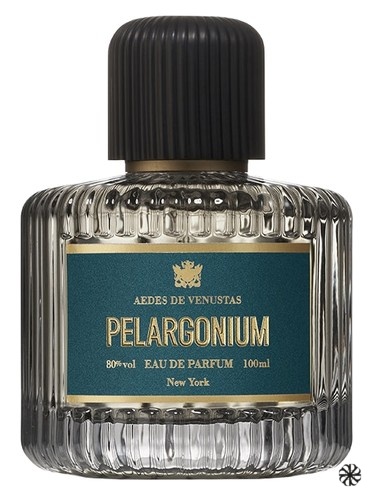 Pélargonium Aedes de Venustas