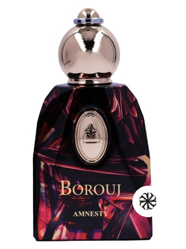 Amnesty Borouj