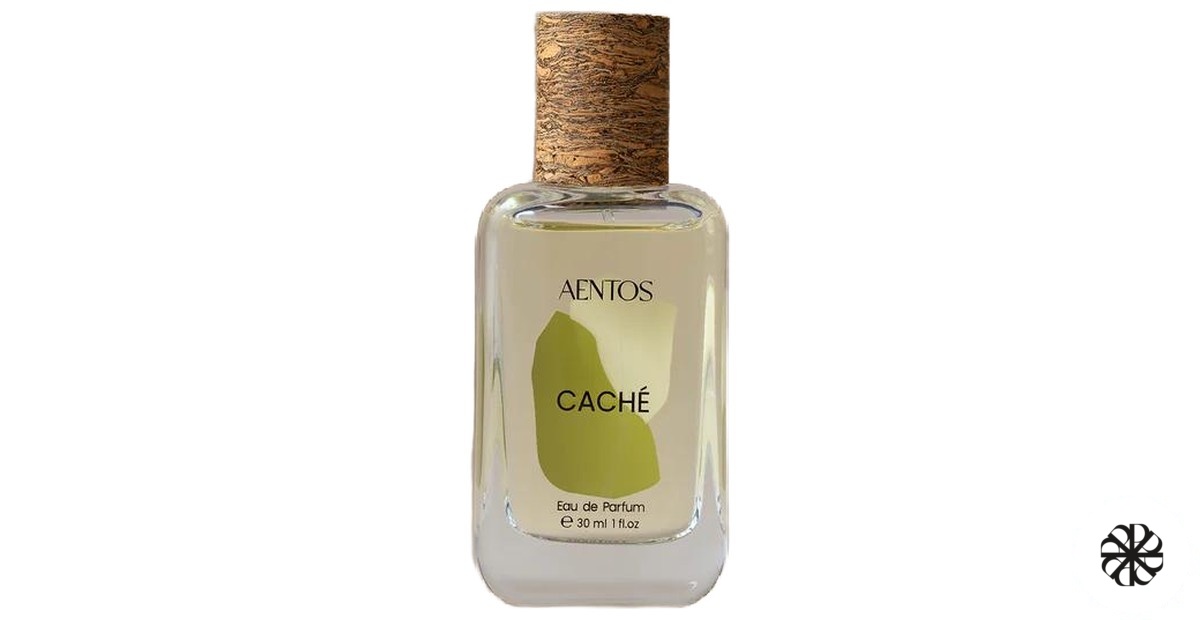 Caché 枝节光 AENTOS