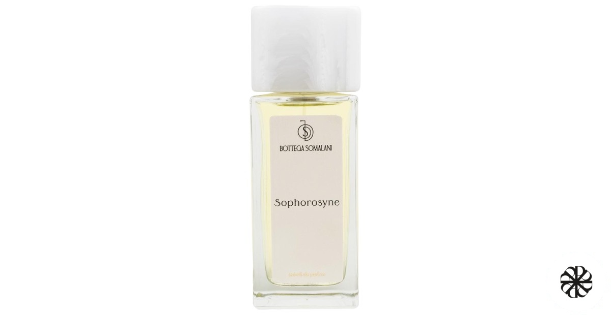 Sophorosyne Bottega Somalani