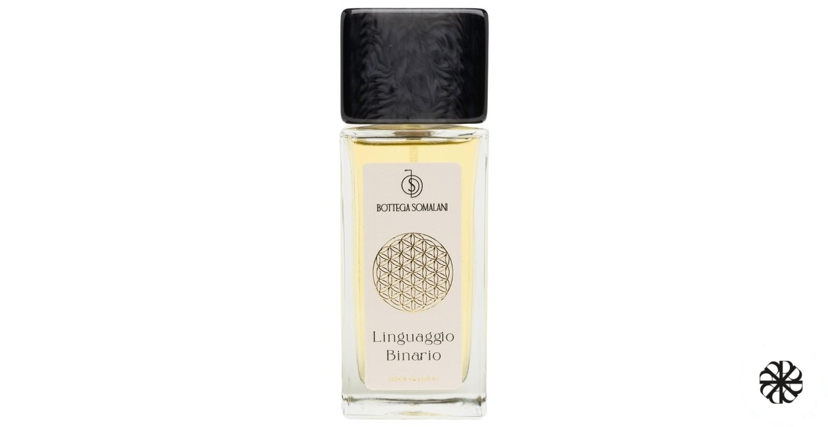 Linguaggio Binario Bottega Somalani