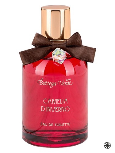 Camelia d'Inverno Bottega Verde