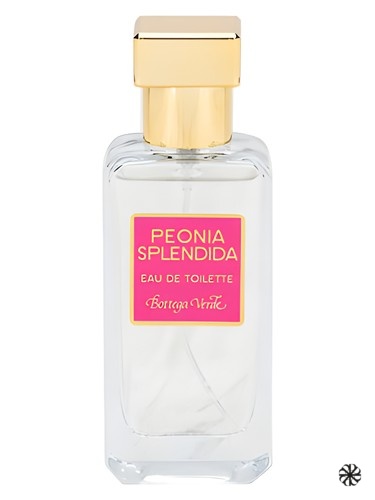Peonia Splendida Bottega Verde