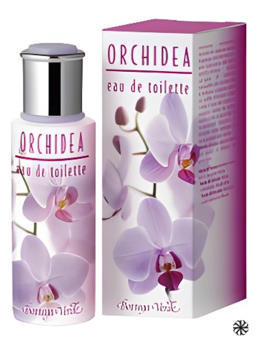 Orchidea Bottega Verde