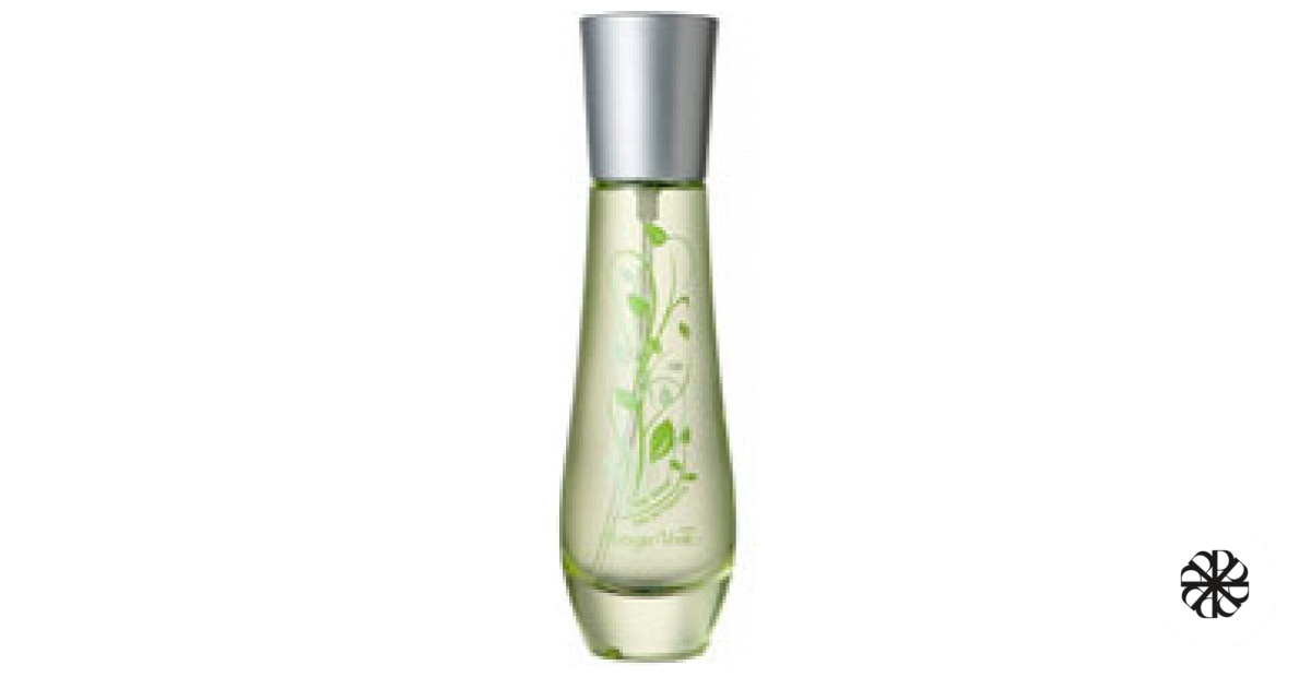 The Verde Bottega Verde