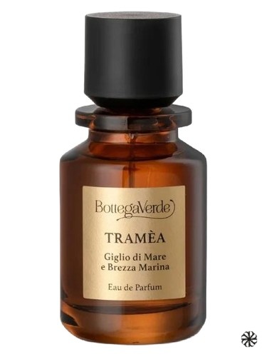 Tramèa Bottega Verde
