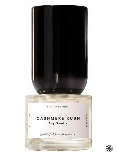 Cashmere Kush Boy Smells