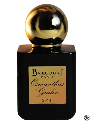 Osmanthus Guilin Brecourt