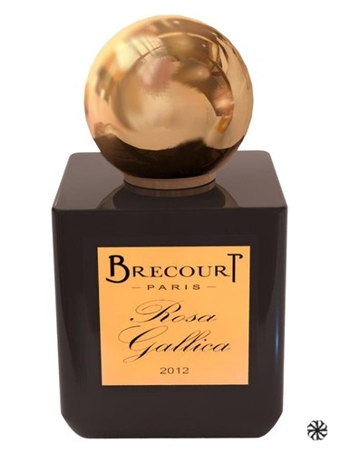 Rosa Gallica Brecourt