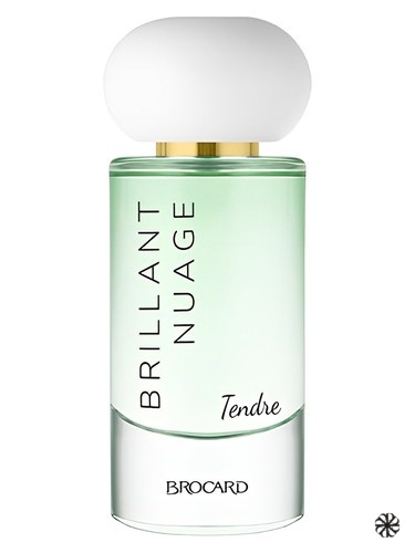 Brillant Nuage Tendre Brocard