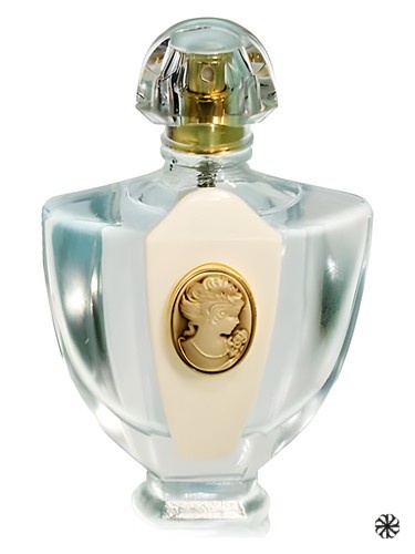 L'Eau Classique Pour La Soir Brocard