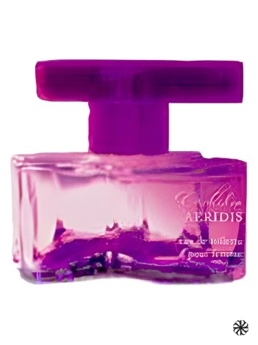 Orchidea Aeridis Brocard