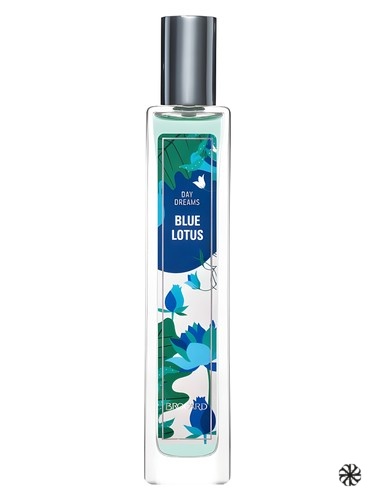 Blue Lotus Brocard