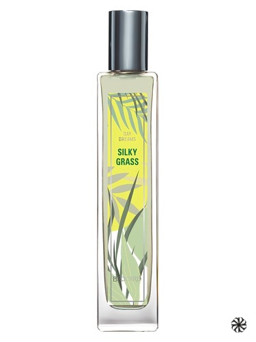Silky Grass Brocard