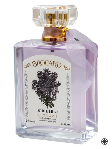 White Lilac Vintage Brocard