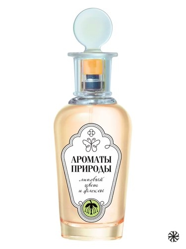 Липовый Цвет и Флоксы - Linden Blossom and Phlox Brocard