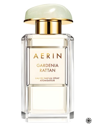 Gardenia Rattan Aerin