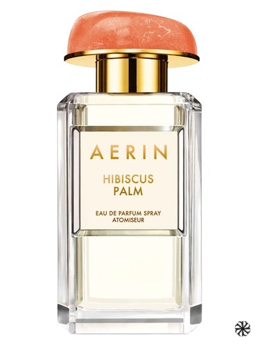 Hibiscus Palm Aerin