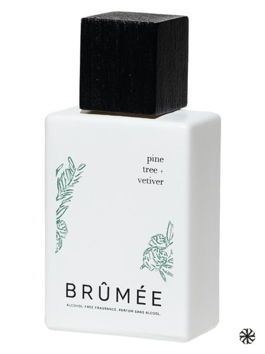 Pine Tree + Vetiver Brûmée