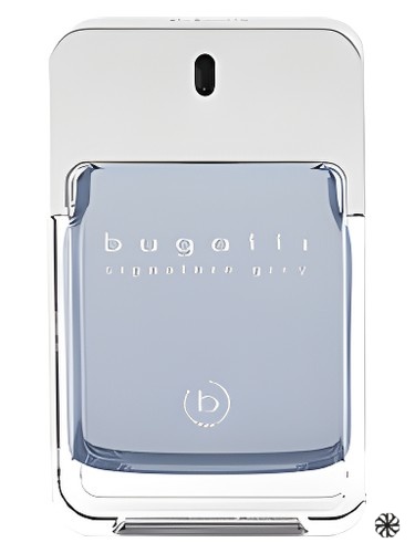 Signature Grey Bugatti Fashion