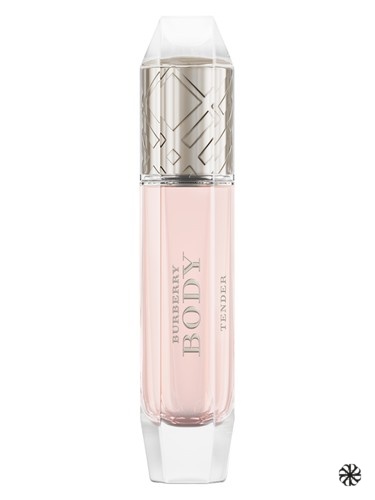 Body Tender Burberry