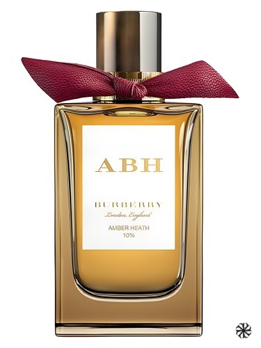 Amber Heath Burberry