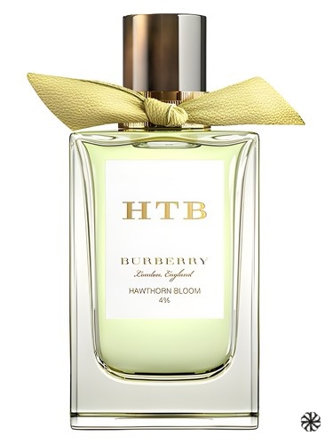 Hawthorn Bloom Burberry
