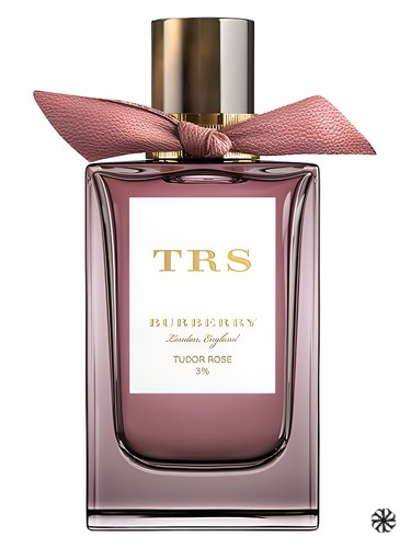 Tudor Rose Burberry